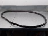 Front door rubber seal