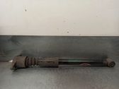 Stoßdämpfer hinten