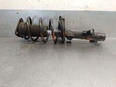Front shock absorber with coil spring