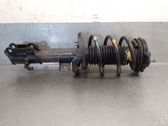 Amortiguador delantero con muelle espiral
