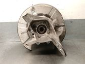 Rear wheel hub spindle/knuckle