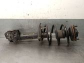 Front shock absorber with coil spring