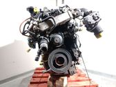 Variklis