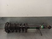 Front shock absorber with coil spring