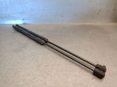 Tailgate/trunk strut/damper