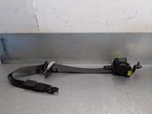 Rear seatbelt