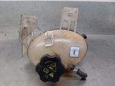 Fuel expansion tank