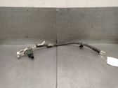 Engine installation wiring loom