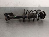 Front shock absorber with coil spring
