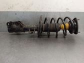 Front shock absorber with coil spring