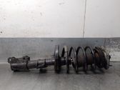 Front shock absorber with coil spring
