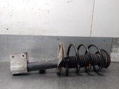 Front shock absorber with coil spring