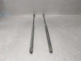 Tailgate/trunk strut/damper