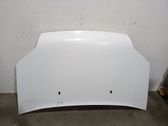 Engine bonnet/hood