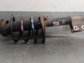Front shock absorber with coil spring