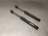 Front bonnet/hood damper/strut