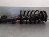 Front shock absorber with coil spring