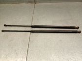 Tailgate/trunk strut/damper