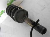 Front shock absorber with coil spring