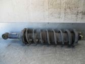 Rear shock absorber/damper