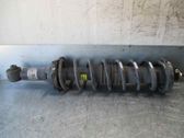 Rear shock absorber/damper