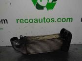Intercooler radiator