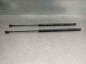Tailgate/trunk strut/damper