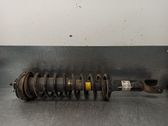 Stoßdämpfer hinten