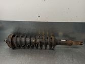 Stoßdämpfer hinten