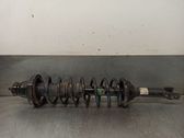 Rear shock absorber/damper