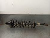 Rear shock absorber/damper