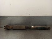 Rear shock absorber/damper