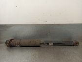 Rear shock absorber/damper