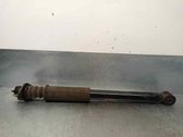 Rear shock absorber/damper