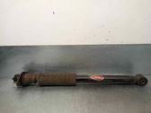 Rear shock absorber/damper
