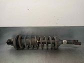 Rear shock absorber/damper