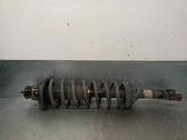 Rear shock absorber/damper