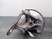 Rear wheel hub spindle/knuckle