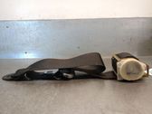Cinturón delantero