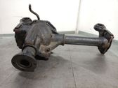 Front differential