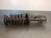 Rear shock absorber/damper
