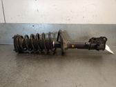 Rear shock absorber/damper