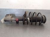 Front shock absorber with coil spring
