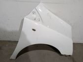 Fender