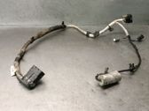 Faisceau de câblage pour moteur