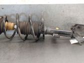 Front shock absorber with coil spring