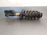 Front shock absorber with coil spring