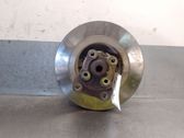 Rear wheel hub spindle/knuckle