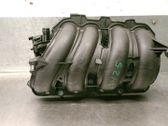 Intake manifold