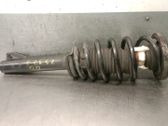 Front shock absorber with coil spring